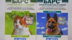 Utilizarea facilităților anti-flacără barça de la gandaci